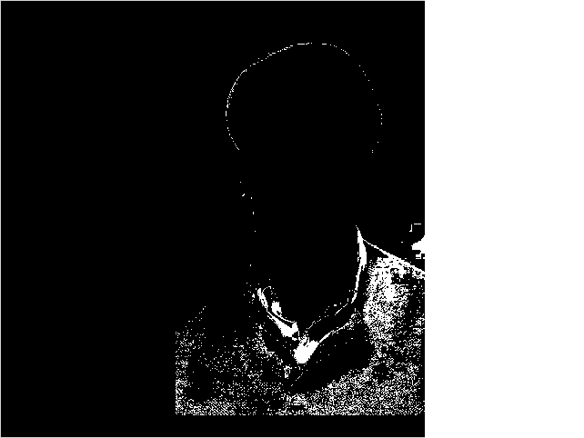 Live color tracking — example output