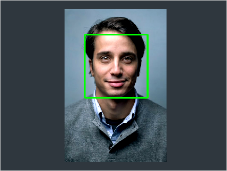 Live face detection — example output
